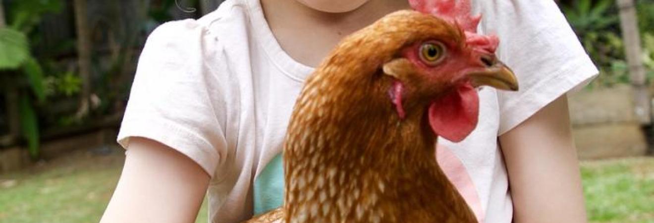 Wohnen gegen Mithilfe Bauernhof