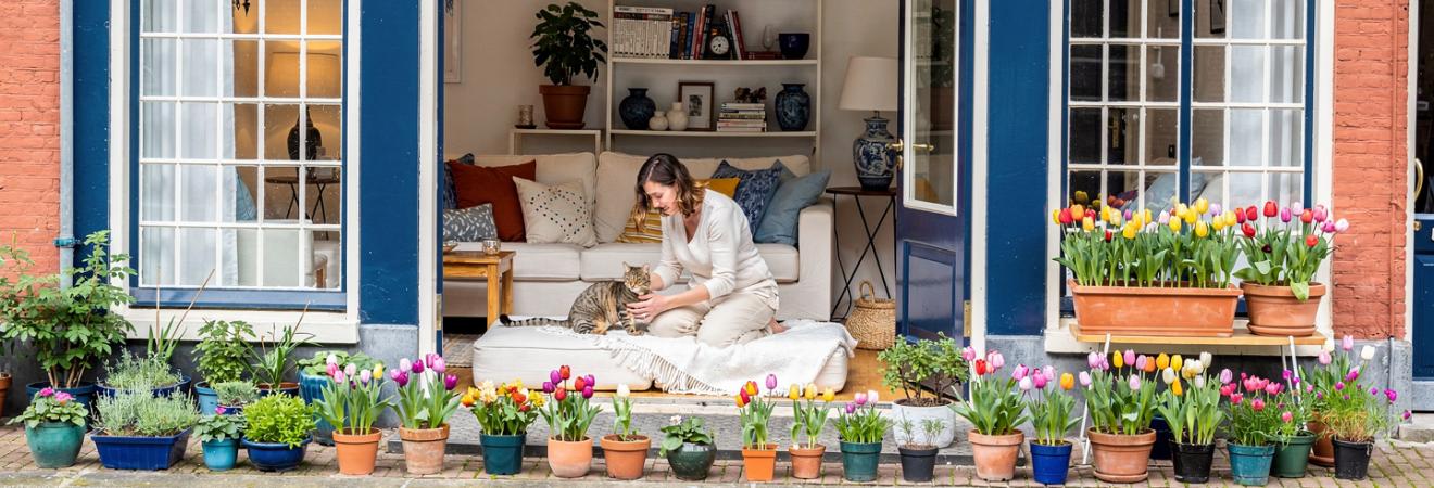 Frau spielt in einem Grachtenhaus mit einer Katze.