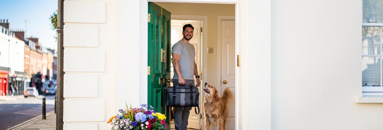 Bunte Georgian Door in Dublin, Hund erwartet den Housesitter.