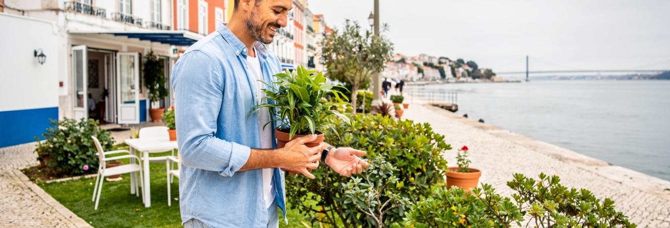 Housesitting Lissabon: Wohnen gegen Hilfe